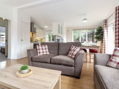 A living room with a brown sofa and plaid cushions a wooden coffee table with a plant an open kitchen and a dining area with a wooden table and chairs at Honeysuckle Lodge Thirlmere 14 White Cross Bay near Windermere