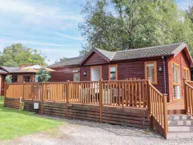 An exterior view of a wooden lodge with a deck and outdoor seating surrounded by trees at Honeysuckle Lodge in Thirlmere 14 White Cross Bay near Windermere