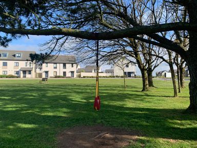 A tree with a red and yellow swing hanging from a branch in a grassy area with houses in the background