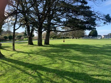 A grassy park area with trees and a rope swing hanging from one of the trees at 2 Boathouse Terrace in Mawgan Porth