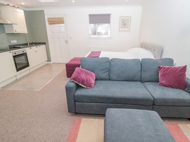A studio apartment with a blue sofa with pink pillows a kitchen area and a bed at Cherry Studio in Crookham near Cornhill-On-Tweed