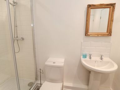 A bathroom with a shower enclosure, toilet, pedestal sink with taps, soap dispenser, and a framed mirror at Silverbirch in Crookham near Cornhill-On-Tweed