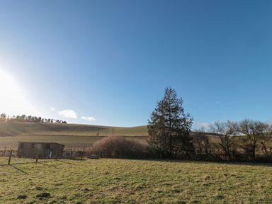 A grassy field with a small shed and trees under a clear blue sky at Silverbirch in Crookham near Cornhill-On-Tweed