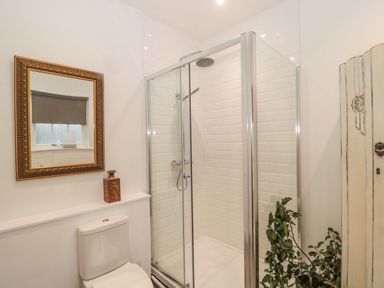 A bathroom with a glass shower enclosure a toilet a decorative mirror a small window a plant and a wooden cabinet at Cheviot View in Crookham near Cornhill On Tweed