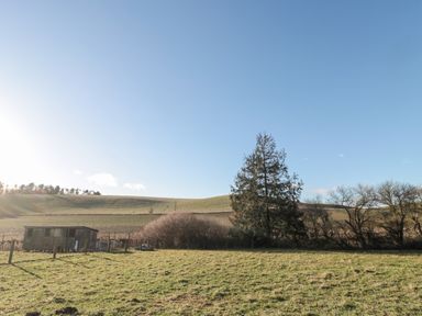A grassy field with a small shed trees and hills under a clear sky at Cheviot View in Crookham near Cornhill-On-Tweed