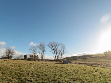 A grassy field with trees and a small structure under a blue sky at Cheviot View in Crookham near Cornhill-On-Tweed
