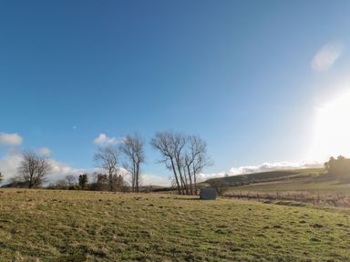 A field with sparse trees and a small shed under a clear sky at Flodden in Crookham near Cornhill-On-Tweed