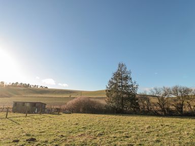 A grassy field with a small wooden shed and trees under a clear blue sky at Bakers Cottage in Crookham near Cornhill-On-Tweed