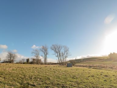 A grassy field with leafless trees and a small shed under a clear blue sky at Bakers Cottage in Crookham near Cornhill-On-Tweed