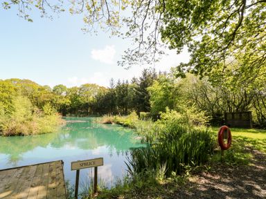 A pond surrounded by trees with a wooden platform and a sign reading spruce and a life preserver on the grass at Woodpecker Lodge in Highampton near Sheepwash