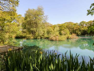 A lake surrounded by trees and greenery with a wooden dock at Woodpecker Lodge in Highampton near Sheepwash