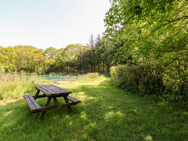 A wooden picnic table on grass near a small pond surrounded by trees at Woodpecker Lodge in Highampton near Sheepwash