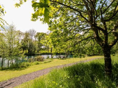 A gravel path alongside a pond with trees and a picnic table at Woodpecker Lodge in Highampton near Sheepwash