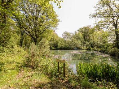 A pond surrounded by trees and vegetation with a sign reading oak near the water at Woodpecker Lodge in Highampton near Sheepwash