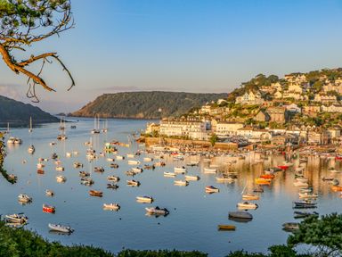 A harbor with boats on water and houses on a hillside at 14 St Elmo Court in Salcombe