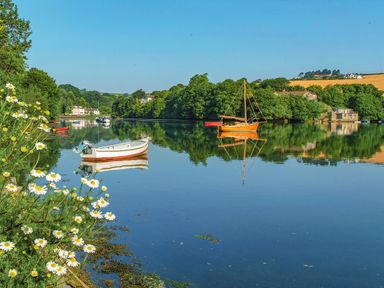 A river with boats and trees along the banks with flowers in the foreground at 14 St Elmo Court in Salcombe