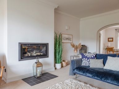 A living room with a fireplace a blue sofa and plants at 14 St Elmo Court in Salcombe