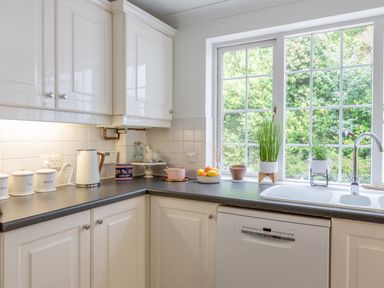 A kitchen corner with white cabinets a kettle jars fruit plants and a dishwasher below a window at 14 St Elmo Court in Salcombe
