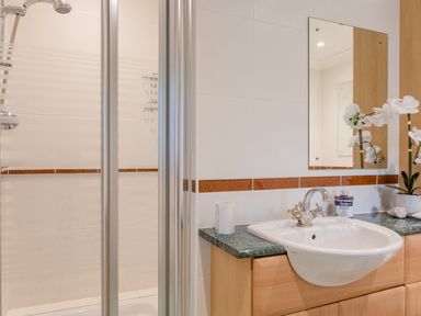 A bathroom with a shower enclosure and a sink with a mirror and orchid on the counter at 14 St Elmo Court in Salcombe