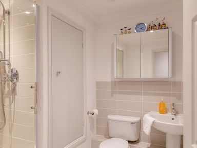 A bathroom with a shower enclosure toilet sink mirror cabinet and a wall clock at 14 St Elmo Court in Salcombe