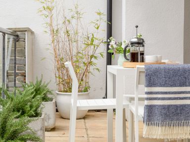 An outdoor patio with white chairs and a table with a French press and cups and potted plants nearby at 14 St Elmo Court in Salcombe