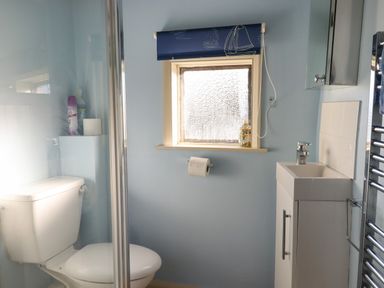A bathroom with a toilet, small sink, window with patterned glass and blue blind and a shower enclosure at The Old Dairy in Colyton