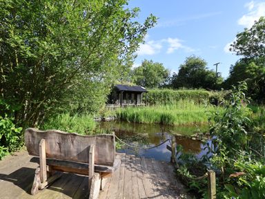 A garden with a pond and wooden bench at The Old Dairy in Colyton
