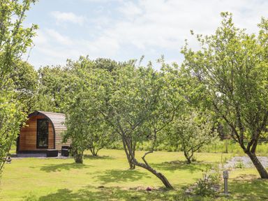 A garden with trees and a wooden pod structure with outdoor seating at Tyddyn Parthle Pod 1 in Bontnewydd Gwynedd
