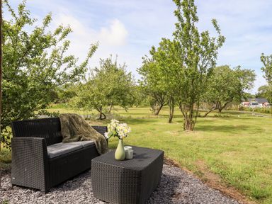An outdoor seating area with a dark woven loveseat and table with flowers and cups in a grassy garden with trees at Tyddyn Parthle Pod 1 in Bontnewydd Gwynedd