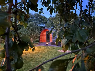 A wooden pod with a fire pit and garden furniture on grass with trees and plants around at Tyddyn Parthle Pod 1 Bontnewydd Gwynedd