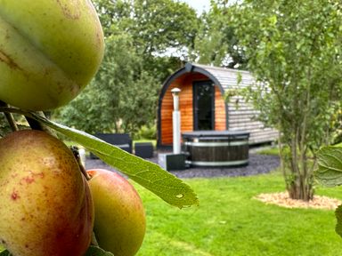 A garden with fruit on a tree and a wooden pod with outdoor furniture at Tyddyn Parthle Pod 1 in Bontnewydd Gwynedd
