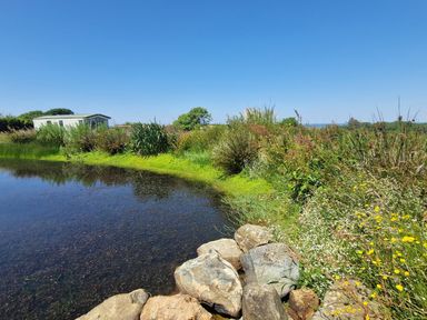 A small pond with rocks and wild plants near a caravan at Plas Tirion Caravan in Llanfairynghornwy near Cemaes Bay