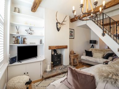 A living room with a mounted deer skull above a wood stove and a television on a white built-in shelf at Glynside in Conwy