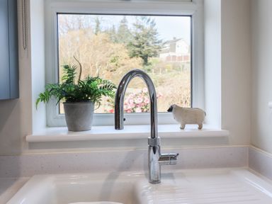 A kitchen sink with a chrome faucet a potted plant and a sheep figurine on the windowsill at Glynside in Conwy