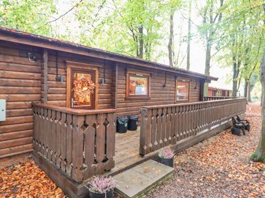 A wooden cabin with a decorated door and railing surrounded by trees and fallen leaves at Leafy Hollow Lodge in Louth