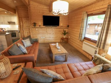 A living room with sofas pillows coffee table and TV in a wooden cabin at Leafy Hollow Lodge in Louth
