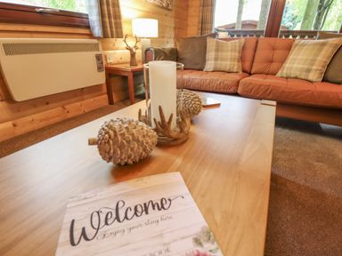 A living room with a brown leather sofa with cushions a wooden coffee table with pinecone decorations a candle a welcome booklet wooden walls and windows at Leafy Hollow Lodge in Louth