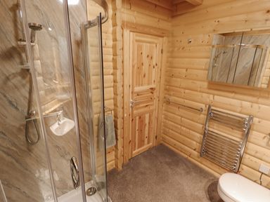 A bathroom with a shower enclosure, wooden door, wall-mounted mirror, heated towel rail, and a toilet at Leafy Hollow Lodge in Louth