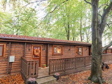 A wooden cabin surrounded by trees with a porch and a door decorated with a wreath at Leafy Hollow Lodge in Louth