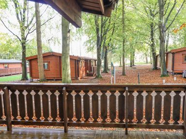 A wooden balcony railing overlooking cabins and trees with fallen leaves at Leafy Hollow Lodge in Louth