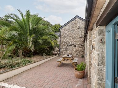 A stone building with a blue door and wooden picnic tables outside next to large palm plants at Pendeen in Mawnan Smith Near Falmouth