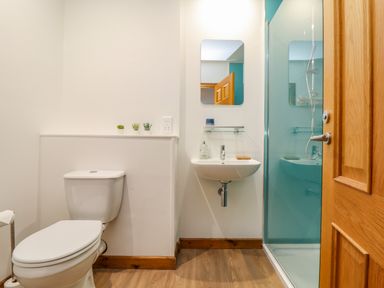 A bathroom with a toilet sink mirror shower and wooden door