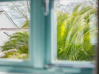 A view of palm trees and rooftops seen through a blue window frame at Kerensa in Mawnan Smith Near Falmouth