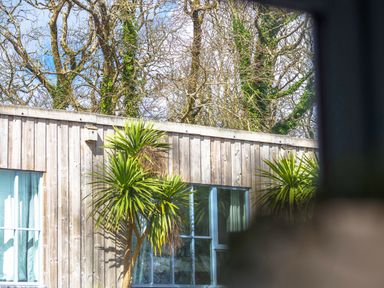 A wooden exterior wall with windows and green plants in front of it at Kerensa in Mawnan Smith Near Falmouth