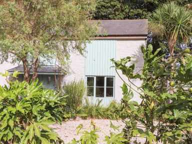 A garden with leafy plants and a gravel path in front of a white building with light blue shutters at Penpoll in Falmouth
