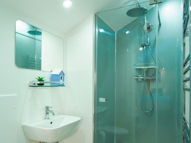 A bathroom with a sink a mirror a glass shower enclosure and a small shelf with a plant and a decorative birdhouse at Porthallow in Mawnan Smith Near Falmouth