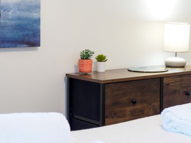 A wooden sideboard with two small potted plants and a lit table lamp in a room
