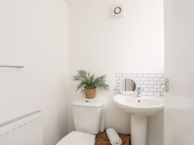 A bathroom with a toilet, a pedestal sink, a small mirror on the sink, a plant on the toilet tank, and a towel on a woven stool at Isfryn in Llanengan near Abersoch