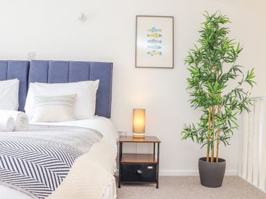 A bedroom with a blue headboard a bedside table with a lamp and a tall potted plant at Helford in Mawnan Smith Near Falmouth
