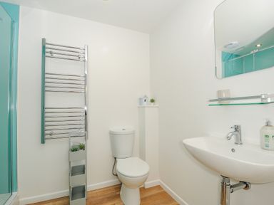 A bathroom with a toilet sink mirror towel rack and small decorative plants at Mousehole in Mawnan Smith Near Falmouth